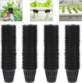 50/100Pcs 2 Inch Heavy Duty Net Pots Hydroponic Cups Garden Slotted Mesh Net Cups Plant Nursery Net Pots for Hydroponics