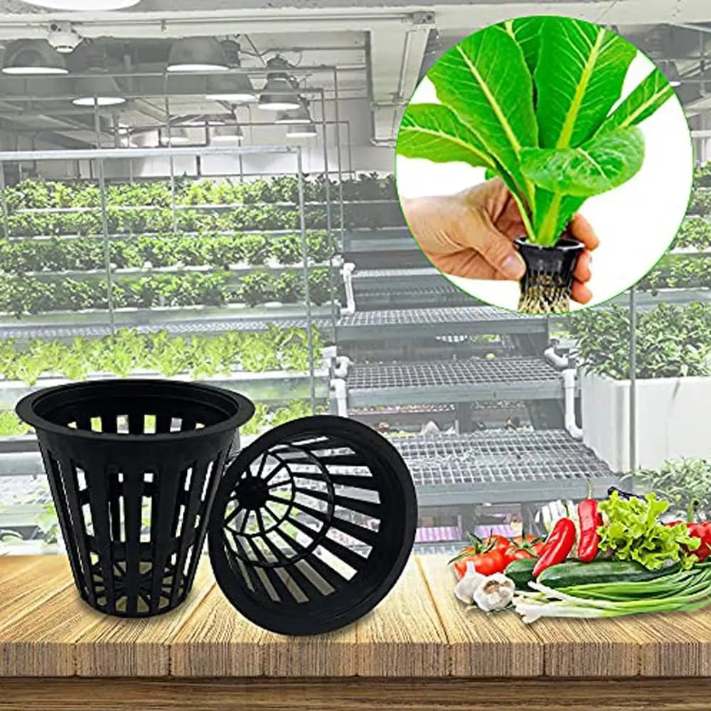 50/100Pcs 2 Inch Heavy Duty Net Pots Hydroponic Cups Garden Slotted Mesh Net Cups Plant Nursery Net Pots for Hydroponics